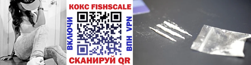 купить закладку  Палласовка  КОКАИН FishScale 
