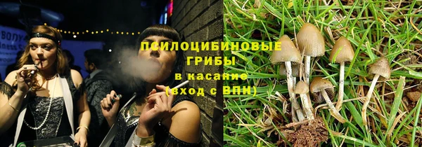 сатива Алзамай